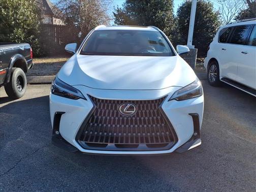 2025 Lexus NX 250 Premium