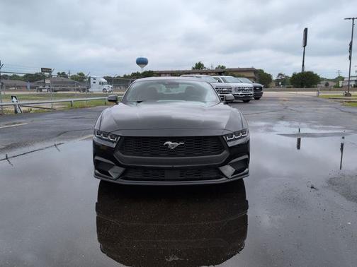 SHADOW BLACK 2024 Ford Mustang ECOBOOST
