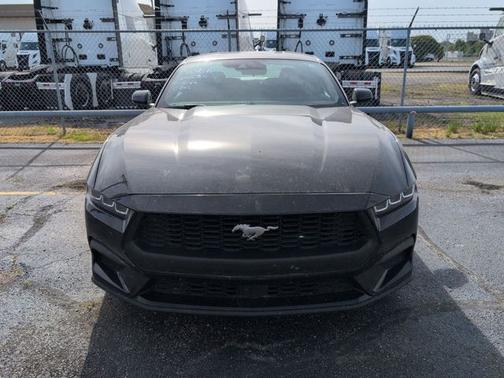 SHADOW BLACK 2024 Ford Mustang ECOBOOST