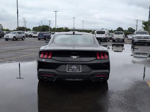 SHADOW BLACK 2024 Ford Mustang ECOBOOST