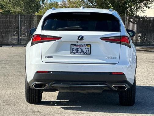 2020 Lexus NX 300 F SPORT