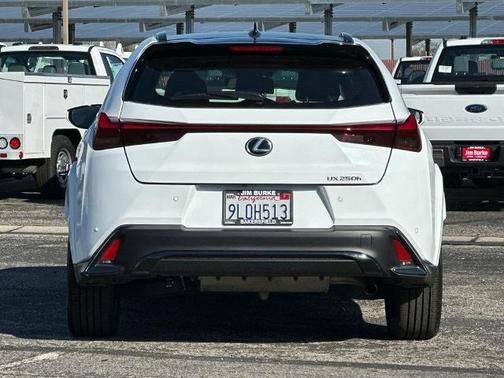 2024 Lexus UX 250h 