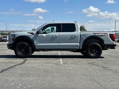AVALANCHE 2024 Ford F-150 RAPTOR