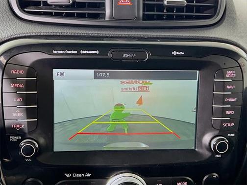2017 Kia Soul !