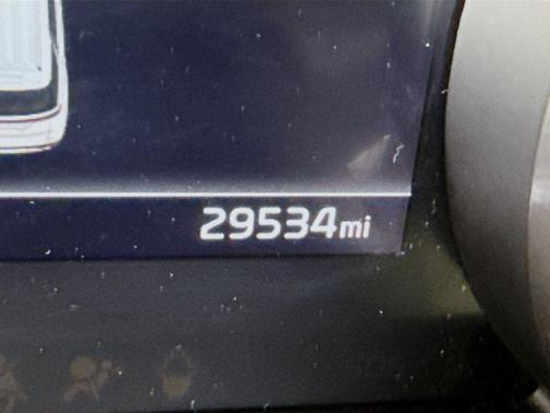 Panthera Metal 2024 Kia Carnival LX