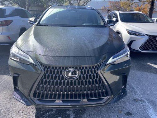 2025 Lexus NX 250 Premium