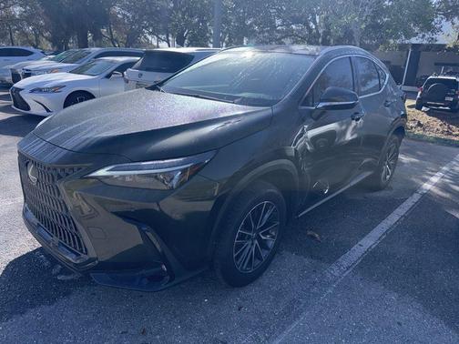 2025 Lexus NX 250 Premium