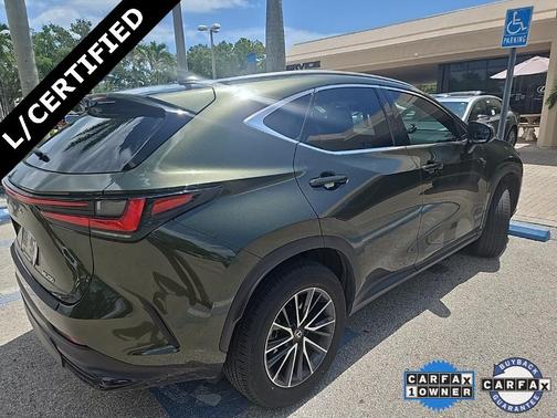 2024 Lexus NX 250 Base