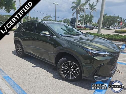 2024 Lexus NX 250 Base