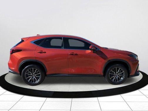 2024 Lexus NX 250 Base
