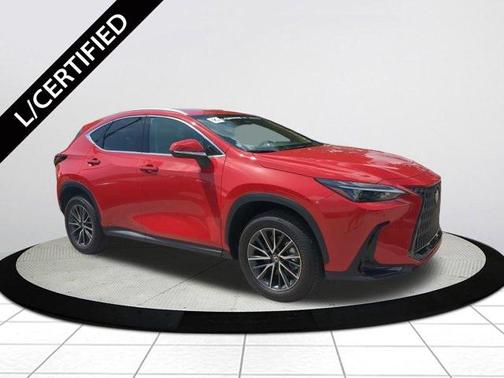 2025 Lexus NX 250 Base