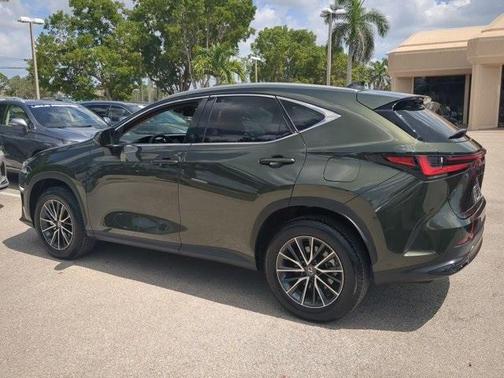 2025 Lexus NX 250 Premium