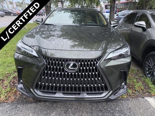 2025 Lexus NX 250 Premium