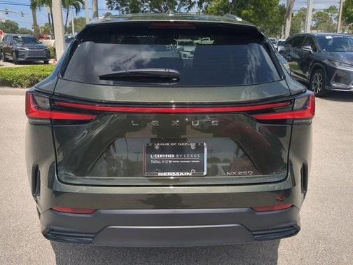 2025 Lexus NX 250 Premium