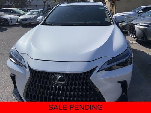 2025 Lexus NX 250 Premium