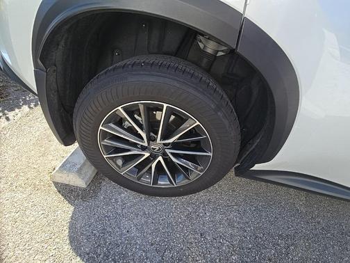 2024 Lexus NX 350h Premium