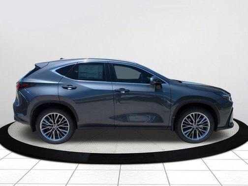 Cloudburst Gray 2026 Lexus NX 350 Luxury