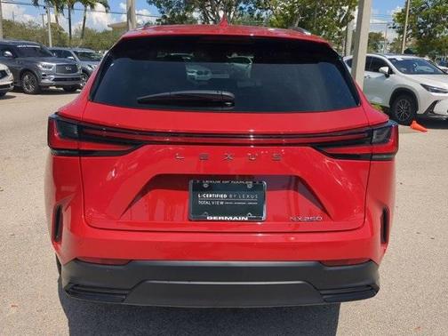 2025 Lexus NX 250 Premium