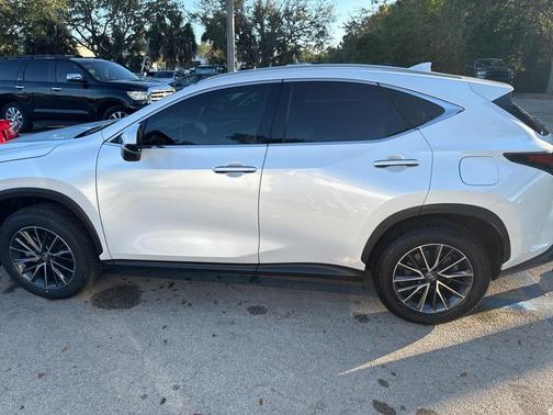 2024 Lexus NX 250 Premium