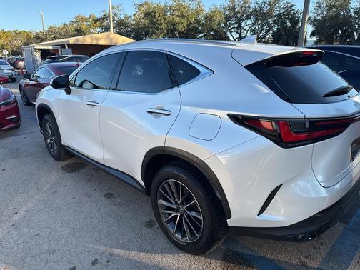 2024 Lexus NX 250 Premium