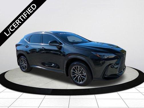 2025 Lexus NX 350h Luxury
