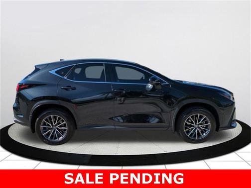 2025 Lexus NX 350h Luxury