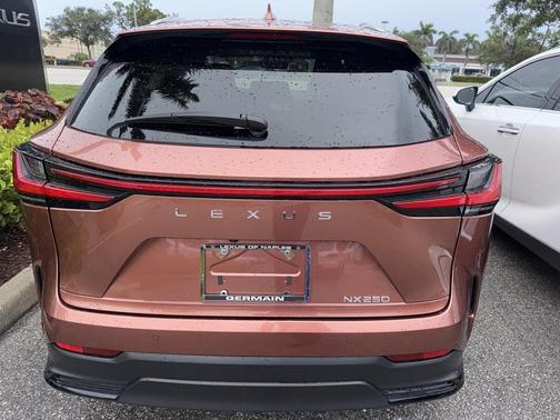2025 Lexus NX 250 Base