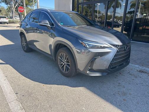 2024 Lexus NX 250 Premium