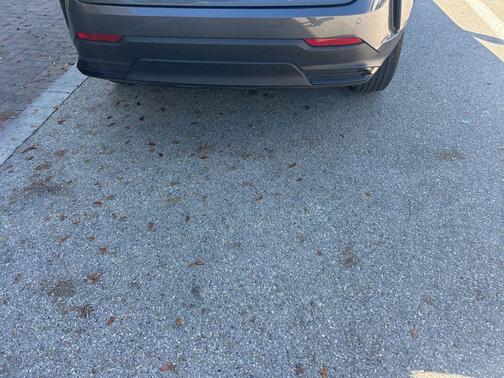 2024 Lexus NX 250 Premium