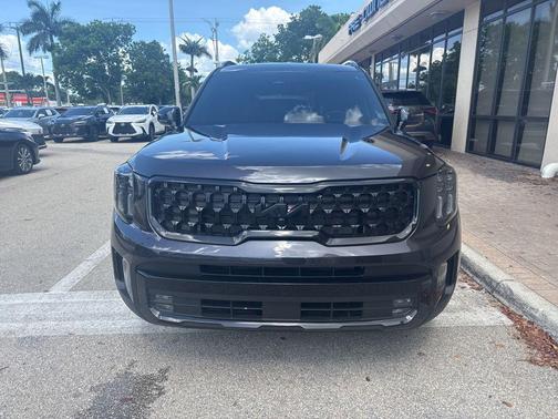 Panthera Metal 2025 Kia Telluride SX Prestige X-Line