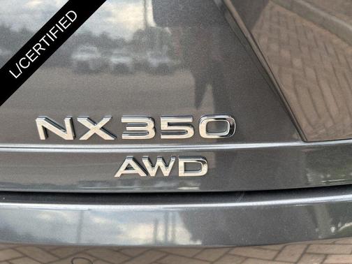 Cloudburst Gray 2025 Lexus NX 350 Premium