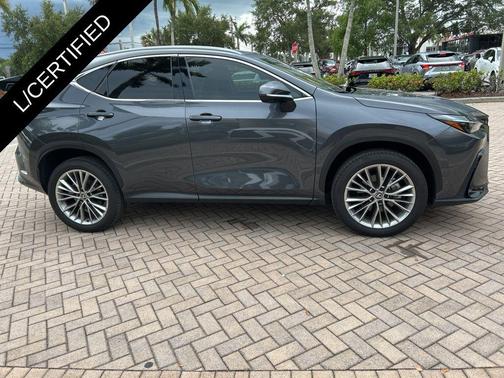 Cloudburst Gray 2025 Lexus NX 350 Premium