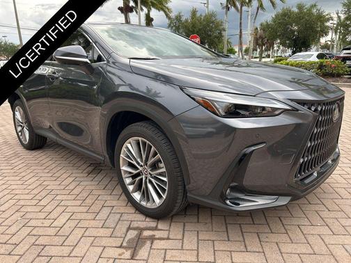 Cloudburst Gray 2025 Lexus NX 350 Premium