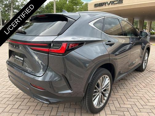 Cloudburst Gray 2025 Lexus NX 350 Premium