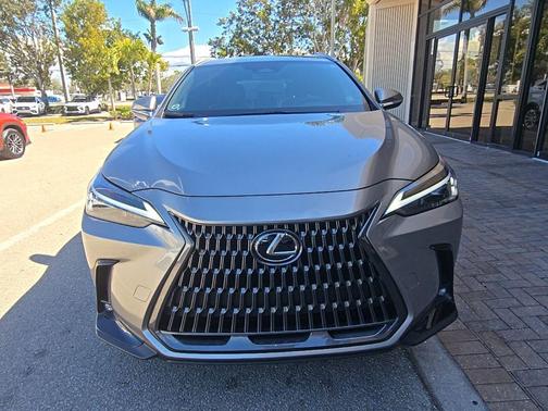 2024 Lexus NX 250 Base