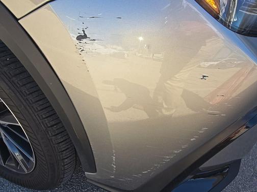 2024 Lexus NX 250 Base