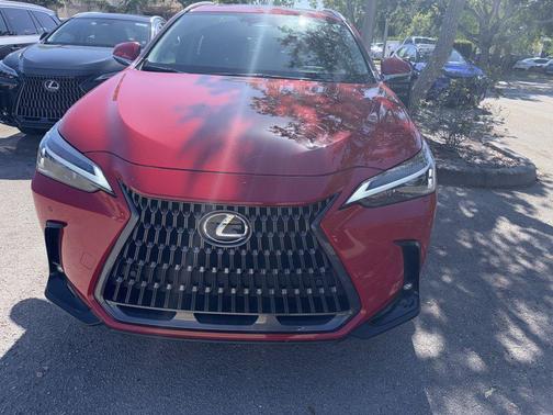 Redline 2025 Lexus NX 250 Premium