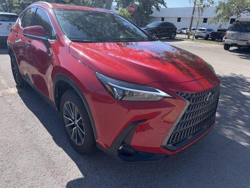 Redline 2025 Lexus NX 250 Premium