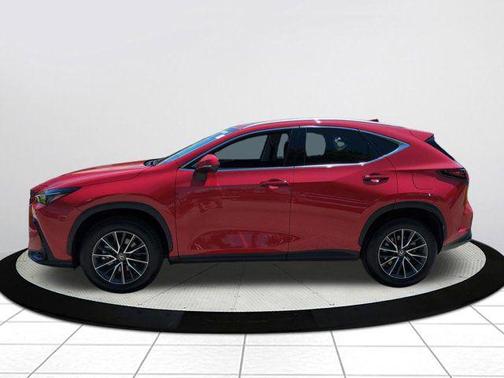 Redline 2025 Lexus NX 250 Premium