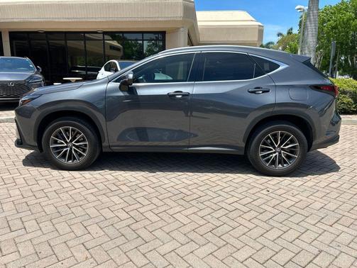 Cloudburst Gray 2024 Lexus NX 250 Premium