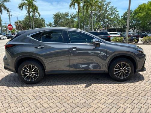 Cloudburst Gray 2024 Lexus NX 250 Premium