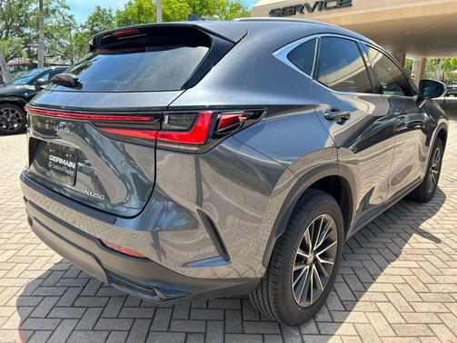 Cloudburst Gray 2024 Lexus NX 250 Premium