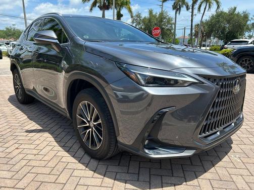 Cloudburst Gray 2024 Lexus NX 250 Premium