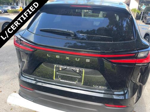 2024 Lexus NX 250 Premium