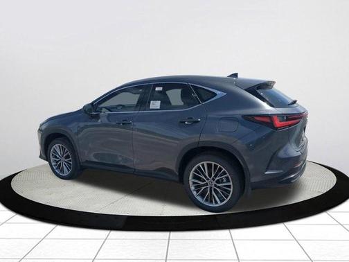 2025 Lexus NX 350h Premium