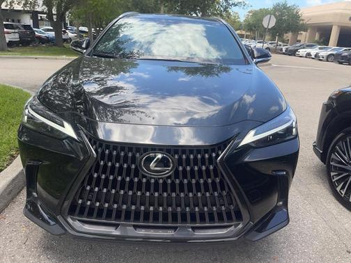 2025 Lexus NX 250 Premium