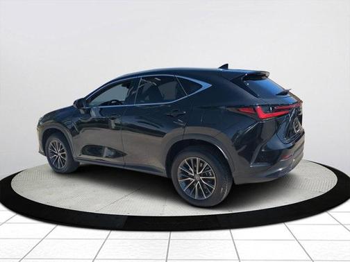 2025 Lexus NX 250 Premium