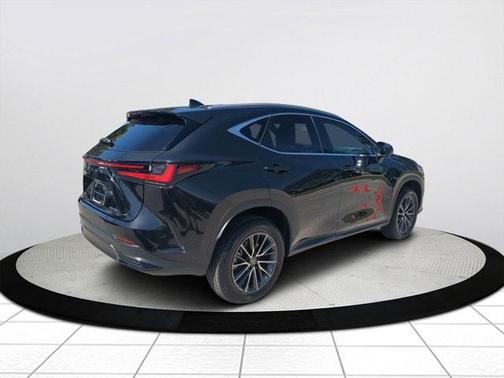 2025 Lexus NX 250 Premium