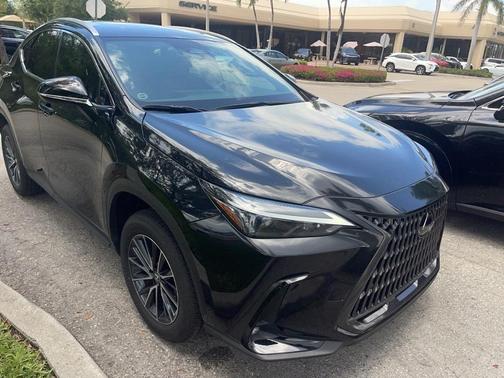2025 Lexus NX 250 Premium