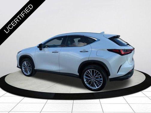 2025 Lexus NX 350 Premium